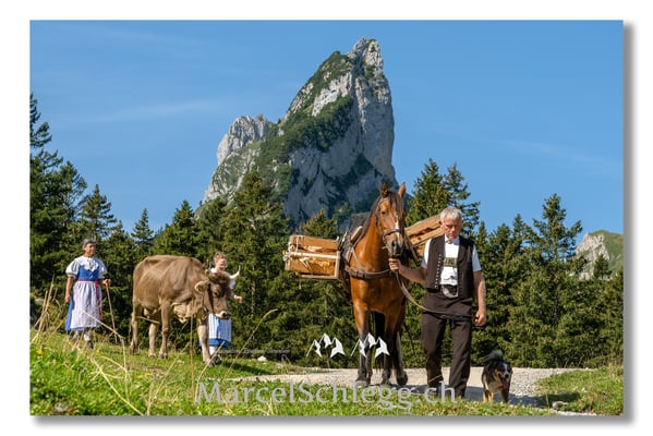 Marcel Schiegg Fotografie, Tradition, Brauchtum, Alpfahrt, Oeberefahre, Appenzell, Appenzellerland, Öberefahre, Alpstein, Sepp Inauen