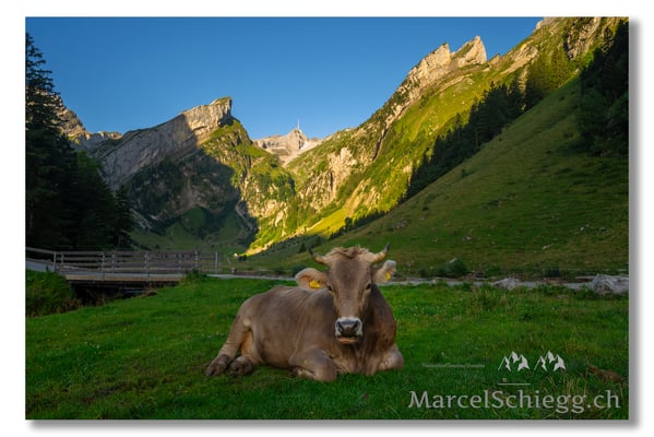 Marcel Schiegg Fotografie, Marcel Schiegg, Seealpsee, Alpstein, Appenzell, Appenzellerland