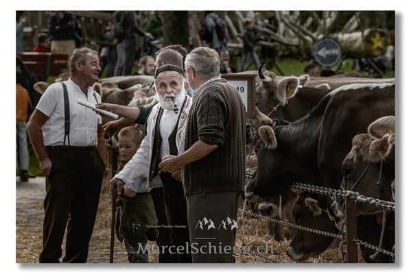 Marcel Schiegg Fotografie, Brauchtum, Tradition, Appenzell, Appenzellerland
