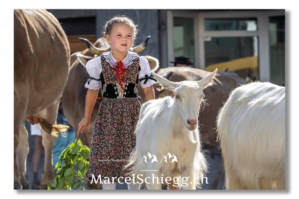 Marcel Schiegg Fotografie, Tradition, Brauchtum, Alpfahrt, Oeberefahre, Appenzell, Appenzellerland