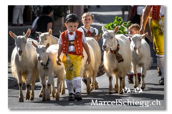 Marcel Schiegg Fotografie, Tradition, Brauchtum, Alpfahrt, Oeberefahre, Appenzell, Appenzellerland