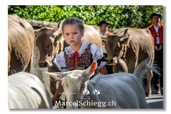 Marcel Schiegg Fotografie, Tradition, Brauchtum, Alpfahrt, Oeberefahre, Appenzell, Appenzellerland