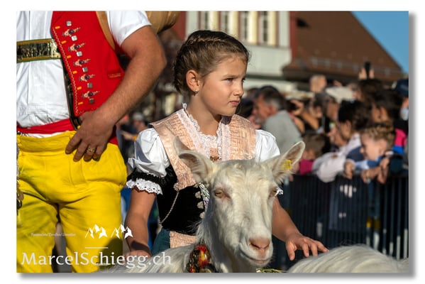 Marcel Schiegg Fotografie, Brauchtum, Tradition, Appenzell, Appenzellerland