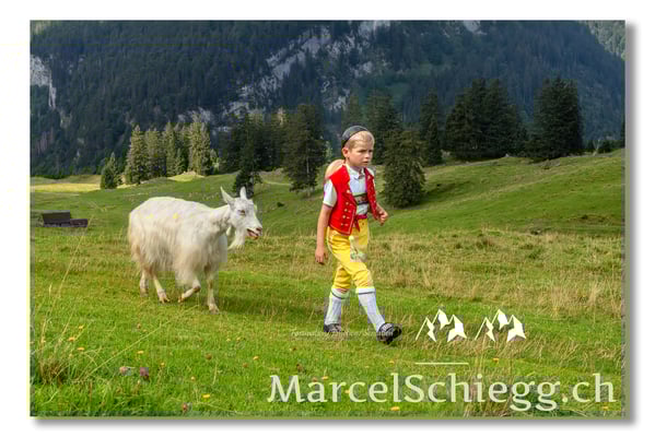 Marcel Schiegg Fotografie, Alp Soll, Alpstein, Tradition, Brauchtum, Alpfahrt, Oeberefahre, Appenzell, Ziegen, Gässbueb, Ziegenbub