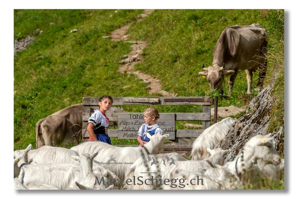 Marcel Schiegg Fotografie, Tradition, Brauchtum, Alpfahrt, Oeberefahre, Appenzell, Appenzellerland, Öberefahre, Alpstein