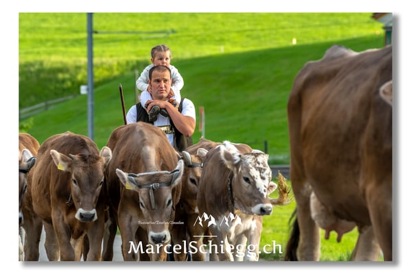 Marcel Schiegg Fotografie, Tradition, Brauchtum, Alpfahrt, Oeberefahre, Appenzell, Appenzellerland, Erwin Koch