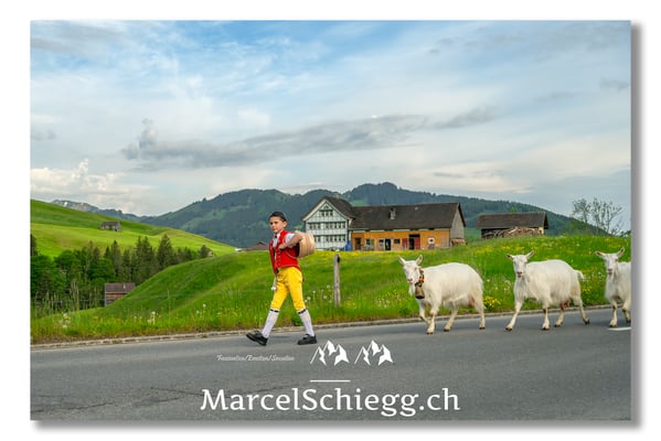 Marcel Schiegg Fotografie, Tradition, Brauchtum, Alpfahrt, Oeberefahre, Appenzell, Appenzellerland