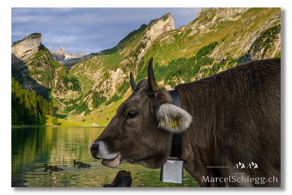 Marcel Schiegg Fotografie, Marcel Schiegg, Seealpsee, Alpstein, Appenzell, Appenzellerland