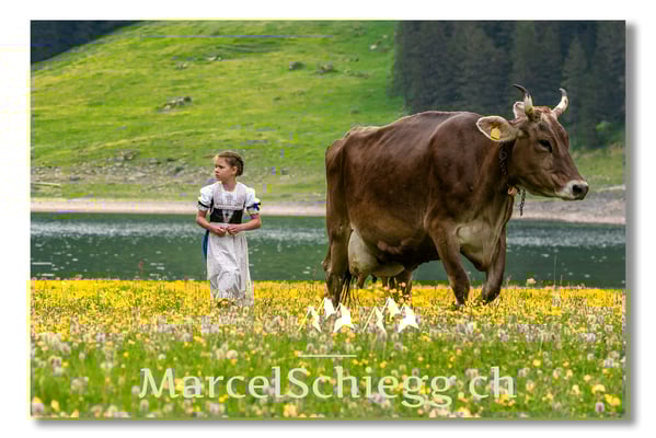 Marcel Schiegg Fotografie, Tradition, Brauchtum, Alpfahrt, Oeberefahre, Appenzell, Alpstein, Sämtis, Sämtisersee, Hornkuh