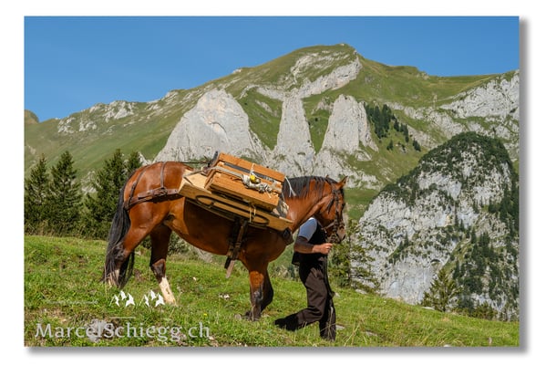 Marcel Schiegg Fotografie, Tradition, Brauchtum, Alpfahrt, Oeberefahre, Appenzell, Appenzellerland, Öberefahre, Alpstein, Dreifaltigkeit