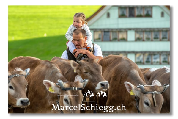 Marcel Schiegg Fotografie, Tradition, Brauchtum, Alpfahrt, Oeberefahre, Appenzell, Appenzellerland