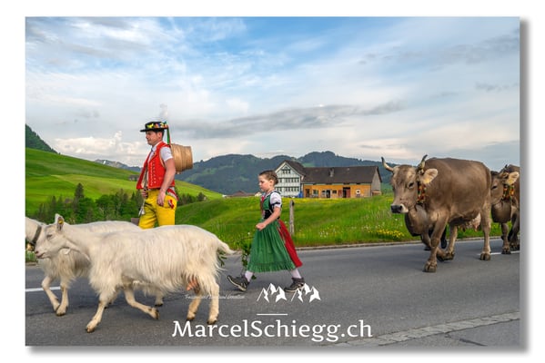 Marcel Schiegg Fotografie, Tradition, Brauchtum, Alpfahrt, Oeberefahre, Appenzell, Appenzellerland