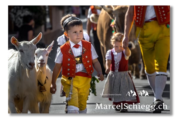 Marcel Schiegg Fotografie, Tradition, Brauchtum, Alpfahrt, Oeberefahre, Appenzell, Appenzellerland
