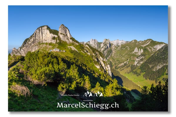 Staubern Art.-Nr. MZ7-4945