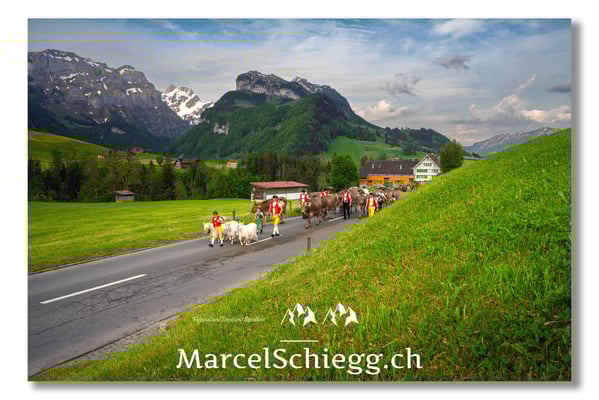 Marcel Schiegg Fotografie, Tradition, Brauchtum, Alpfahrt, Oeberefahre, Appenzell, Appenzellerland