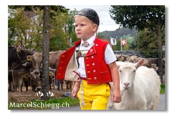 Marcel Schiegg Fotografie, Brauchtum, Tradition, Appenzell, Appenzellerland