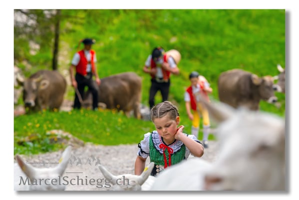 Marcel Schiegg Fotografie, Tradition, Brauchtum, Alpfahrt, Oeberefahre, Appenzell, Appenzellerland, Alpstein