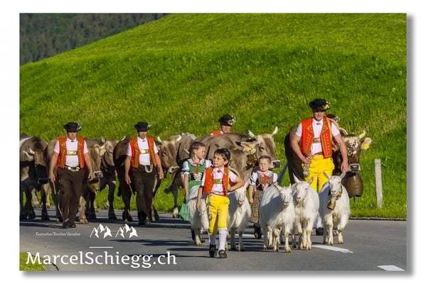 Marcel Schiegg Fotografie, Tradition, Brauchtum, Alpfahrt, Oeberefahre, Appenzell, Appenzellerland
