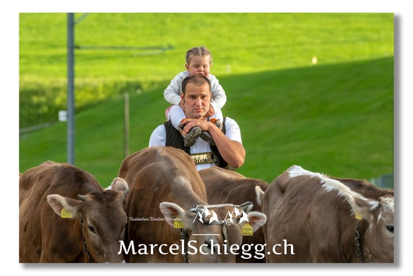 Marcel Schiegg Fotografie, Tradition, Brauchtum, Alpfahrt, Oeberefahre, Appenzell, Appenzellerland