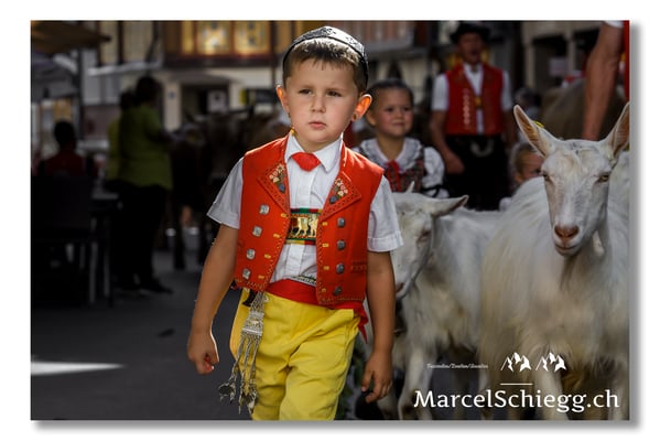 Marcel Schiegg Fotografie, Tradition, Brauchtum, Alpfahrt, Oeberefahre, Appenzell, Appenzellerland