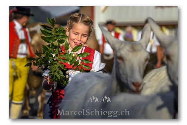Marcel Schiegg Fotografie, Brauchtum, Tradition, Appenzell, Appenzellerland