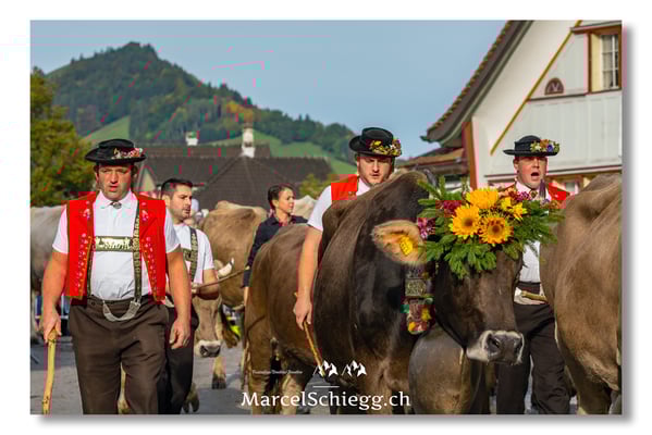 Marcel Schiegg Fotografie, Brauchtum, Tradition, Appenzell, Appenzellerland