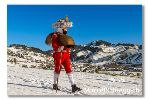 Silversterchlausen Art.-Nr. MS8-5547