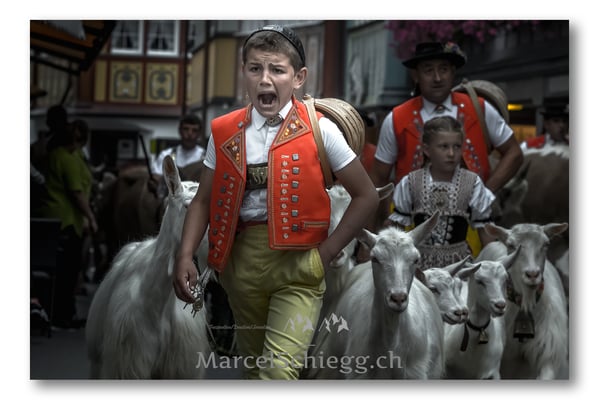 Öberefahre/Alpfahrt Art.-Nr. MS5-4095-August