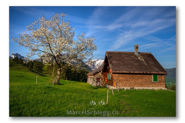 Marcel Schiegg Fotografie, Marcel Schiegg, Alpsteinbilder, Alpsteinpanorama, Appenzell, Appenzellerland