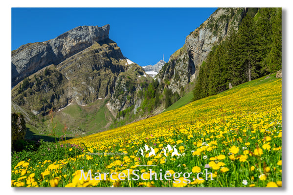 Marcel Schiegg Fotografie, Marcel Schiegg, Seealpsee, Alpstein, Appenzell, Appenzellerland