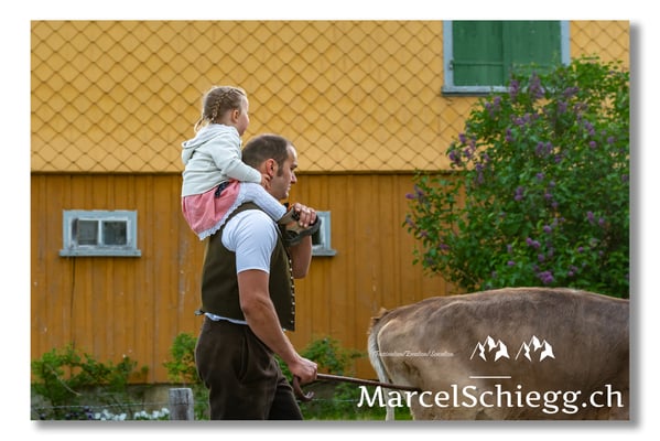 Marcel Schiegg Fotografie, Tradition, Brauchtum, Alpfahrt, Oeberefahre, Appenzell, Appenzellerland