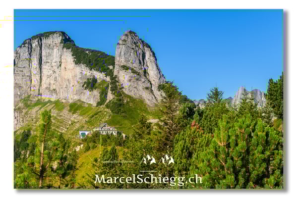 Staubern Art.-Nr. MZ7-4940