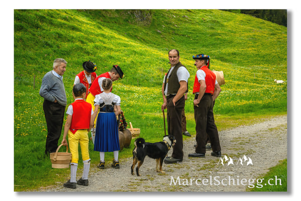 Marcel Schiegg Fotografie, Tradition, Brauchtum, Alpfahrt, Oeberefahre, Appenzell, Alpstein, Sämtis, Bläss, Appenzeller Sennenhund