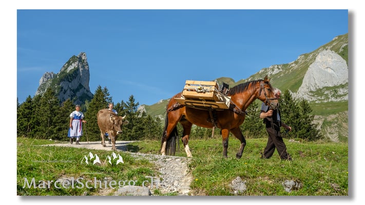 Marcel Schiegg Fotografie, Tradition, Brauchtum, Alpfahrt, Oeberefahre, Appenzell, Appenzellerland, Öberefahre, Alpstein