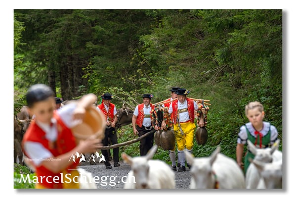 Marcel Schiegg Fotografie, Tradition, Brauchtum, Alpfahrt, Oeberefahre, Appenzell, Appenzellerland, Alpstein