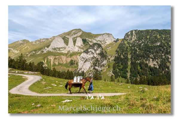 Marcel Schiegg Fotografie, Tradition, Brauchtum, Alpfahrt, Oeberefahre, Appenzell, Appenzellerland, Öberefahre, Alpstein, Dreifaltigkeit
