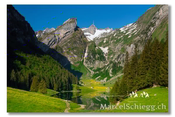 Marcel Schiegg Fotografie, Marcel Schiegg, Seealpsee, Alpstein, Appenzell, Appenzellerland