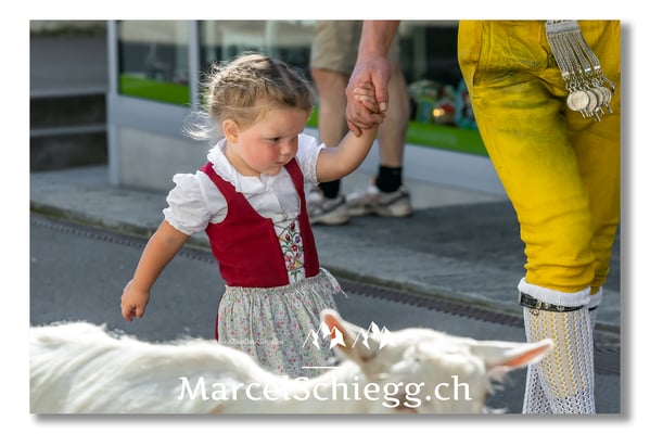 Marcel Schiegg Fotografie, Tradition, Brauchtum, Alpfahrt, Oeberefahre, Appenzell, Appenzellerland