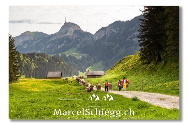 Marcel Schiegg Fotografie, Tradition, Brauchtum, Alpfahrt, Oeberefahre, Appenzell, Alpstein, Sämtis, Hoher Kasten