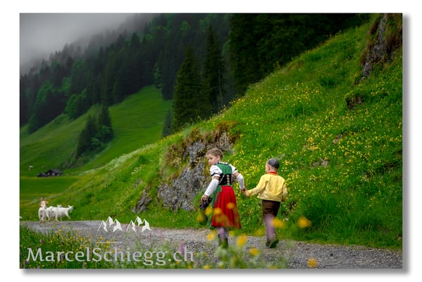 Marcel Schiegg Fotografie, Tradition, Brauchtum, Alpfahrt, Oeberefahre, Appenzell, Appenzellerland, Alpstein, Sämtis
