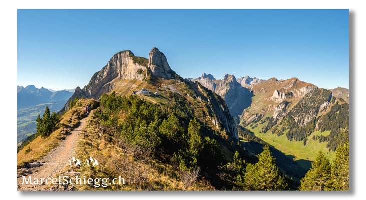 Staubern Art.-Nr. MS5-5956-Pan