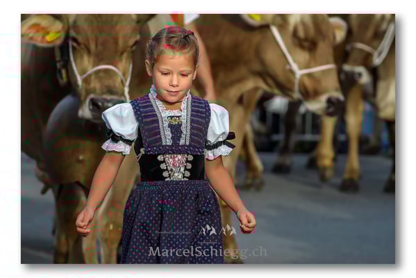 Marcel Schiegg Fotografie, Brauchtum, Tradition, Appenzell, Appenzellerland