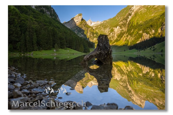 Marcel Schiegg Fotografie, Marcel Schiegg, Seealpsee, Spiegelung, Alpstein, Appenzell, Appenzellerland
