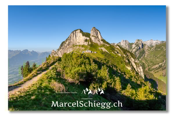 Staubern Art.-Nr. MZ7-4946