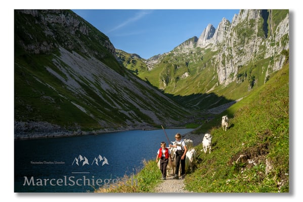Marcel Schiegg Fotografie, Tradition, Brauchtum, Alpfahrt, Oeberefahre, Appenzell, Appenzellerland, Öberefahre, Alpstein, Fählensee, Fählenalp