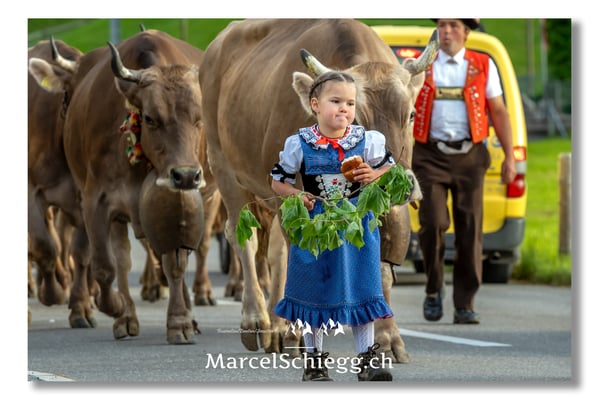 Marcel Schiegg Fotografie, Tradition, Brauchtum, Alpfahrt, Oeberefahre, Appenzell, Appenzellerland