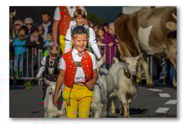 Marcel Schiegg Fotografie, Brauchtum, Tradition, Appenzell, Appenzellerland