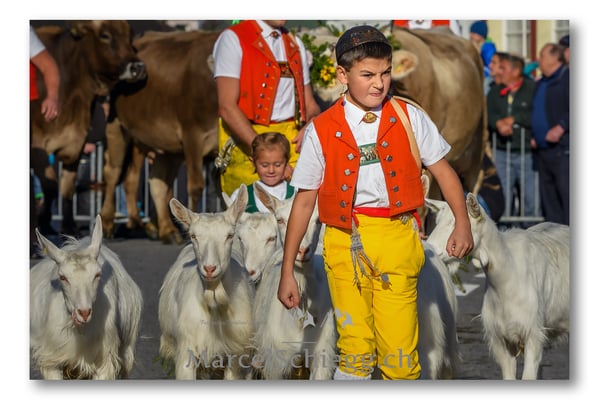 Marcel Schiegg Fotografie, Brauchtum, Tradition, Appenzell, Appenzellerland