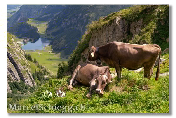 Marcel Schiegg Fotografie, Marcel Schiegg, Seealpsee, Mesmer, Alpstein, Appenzell, Appenzellerland