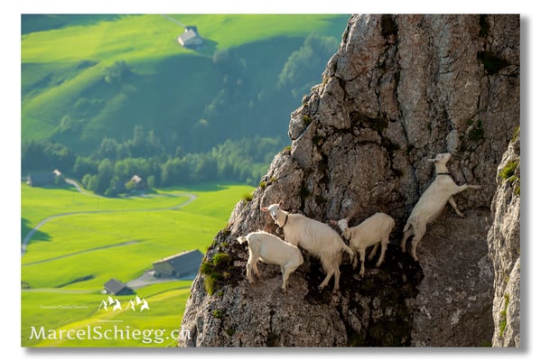 Marcel Schiegg Fotografie, Marcel Schiegg, Hoher Kasten, Alpstein